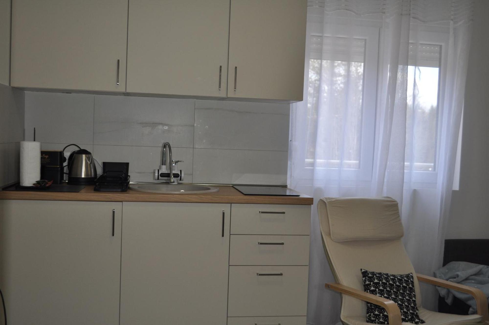 Apartmani Zabljak Hills エクステリア 写真